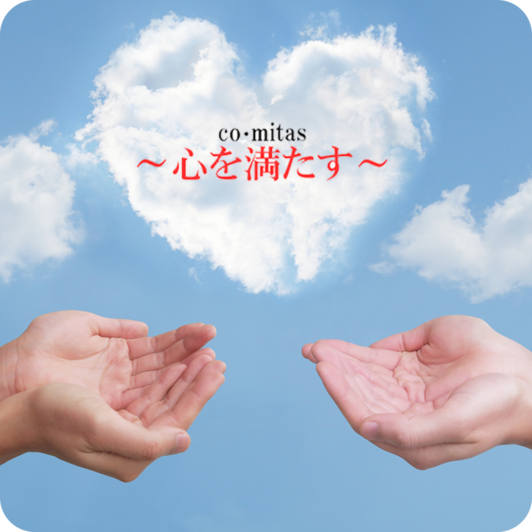 合同会社コ・ミタス,札幌市白石区,介護,障がい